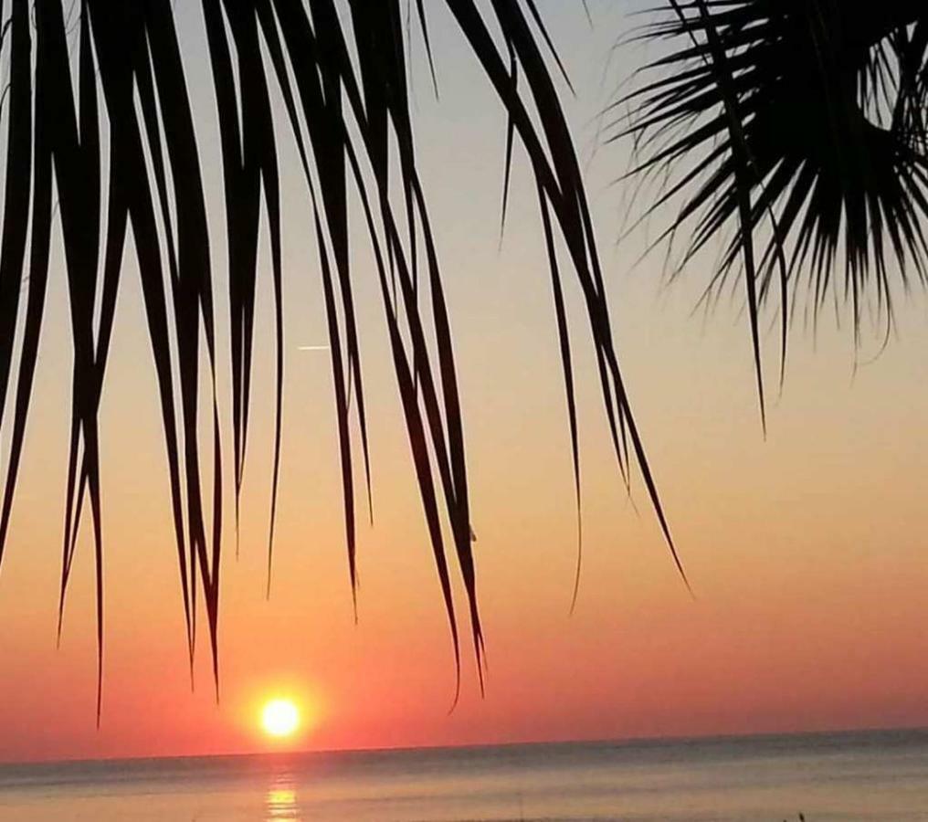 The Palms Resort-Oceanfront Myrtle Beach Exteriör bild